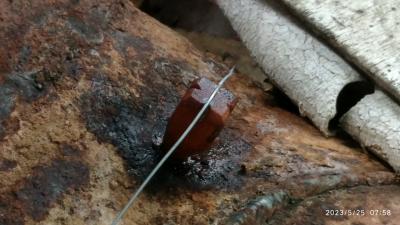 Прикрепленное изображение: IMG_20230525_075805.jpg